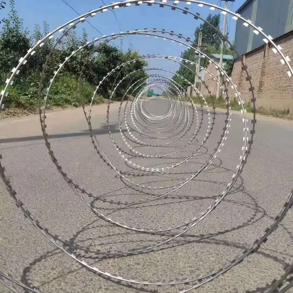 Hot Selling Galvanized Multiple Types Razor Barbed Wire photo-2