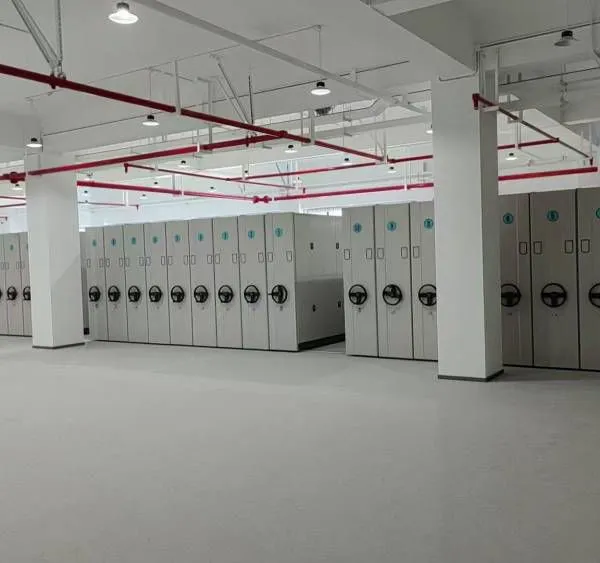 Wanglaili + 900 + Space-saving + Extra-large Storage + Wanglaili Compact Shelving + Intelligent Manufacturing photo-3