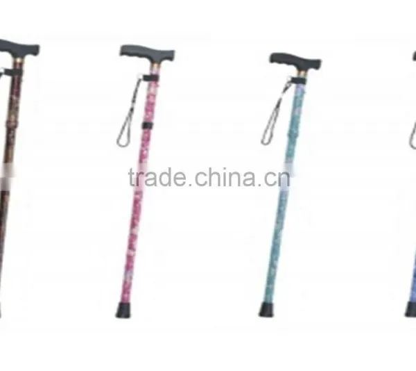 Walking Stick photo-3