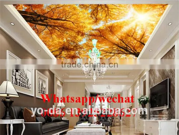 High Resolution Large Format Acrylic uv Printer / Flex Banner uv Hybrid Printer With KM1024i photo-2