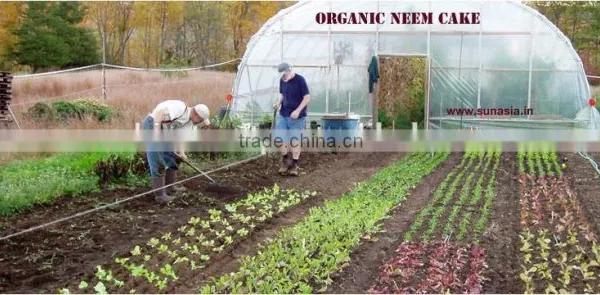 Best Quality Organic Fertilizer - Neem Cake photo-2