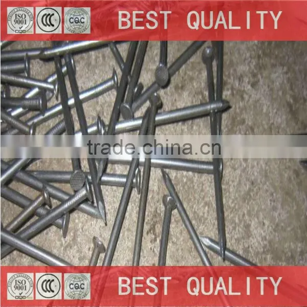 Common Wire Nails Common Nails