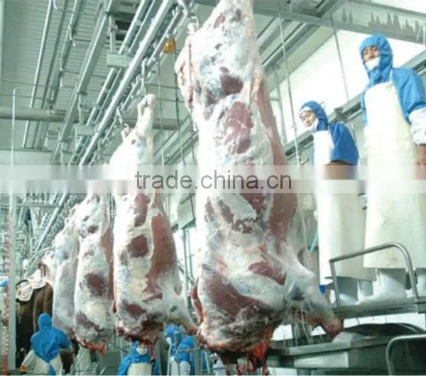 Cow Slaughter Slaughter Line for Cattle Cattle Slaughter Line