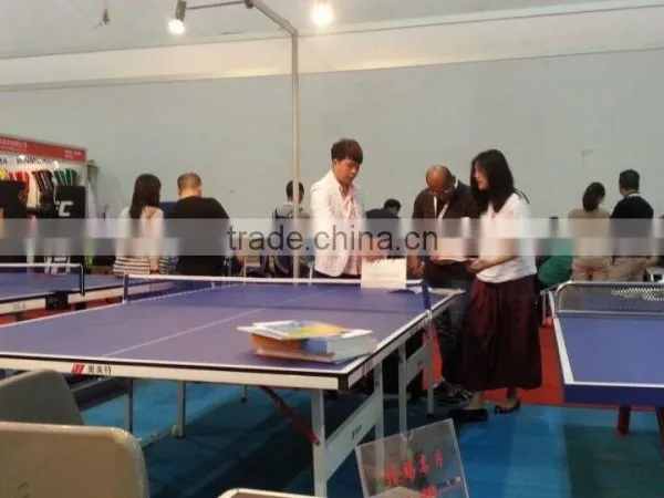 Table Tennis Table/pingpong Table For Club Using From China photo-6