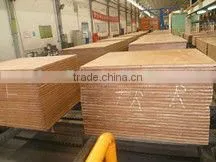 ISO Container Plywood Flooring photo-6