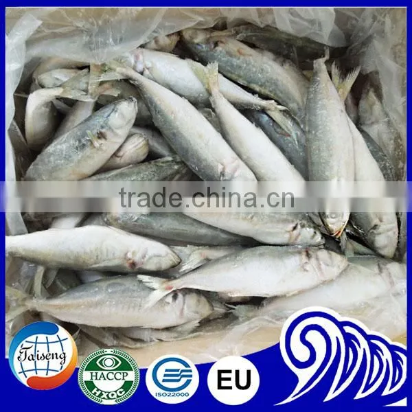 Top Quality Iqf Round Scad Fish Products For Marketing photo-4