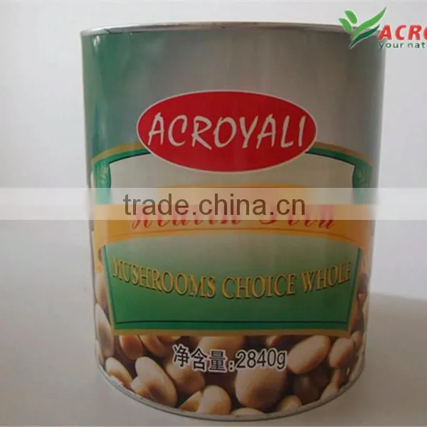 Chinese High Quality Canned Fresh Mushroom Whole photo-5