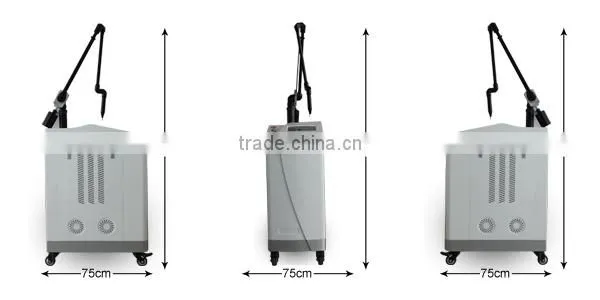 Tattoo Removal Laser Nd Yag Laser photo-4