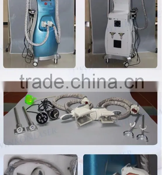 Price Cryolipolysis / Cryolipolysie Weight Loss / Cryolipolysis Body Slimming Machine Fat Melting photo-5