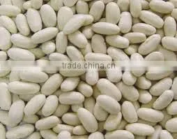 WHITE KIDNEY BEANS