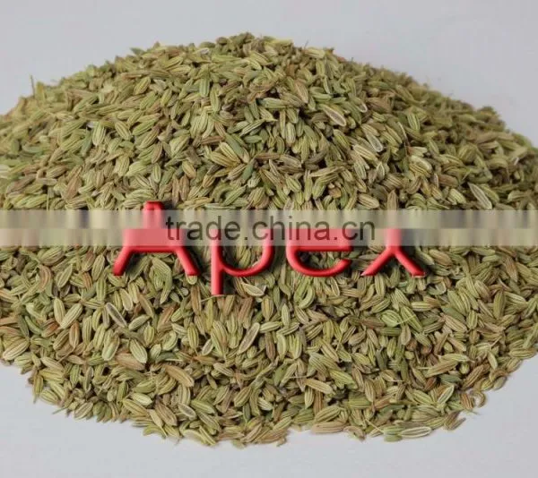 Apex Supplies Quality Foeniculum Vulgare Fennel / Foeniculum Vulgare / Fennel Seeds / Saunf photo-3