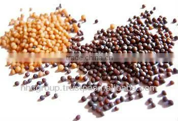 Mustard Seed