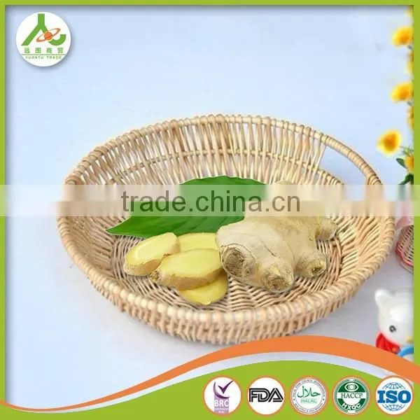 Professional Ginger Supplier Fresh Old Ginger photo-2