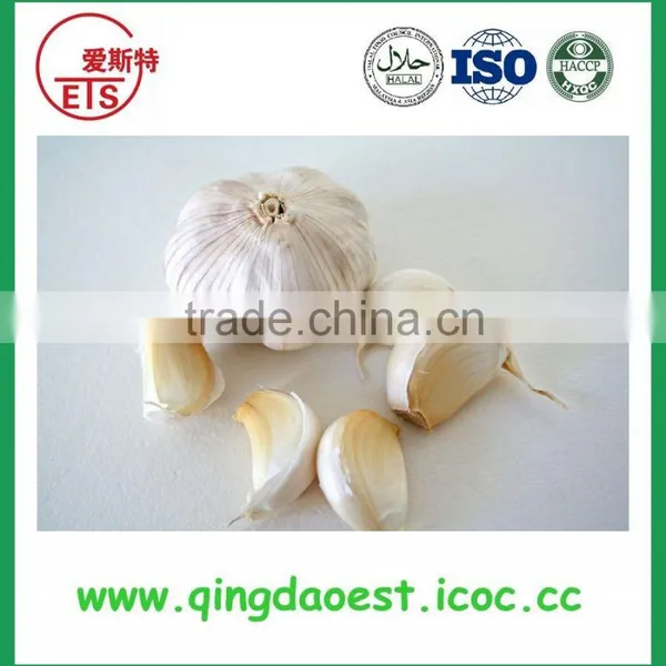 Jinxiang Fresh Best Price Normal White Garlic on Sale photo-5