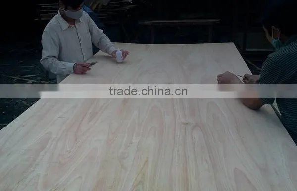 Packing Grade Laminated 18mm Eucalyptus Plywood photo-3