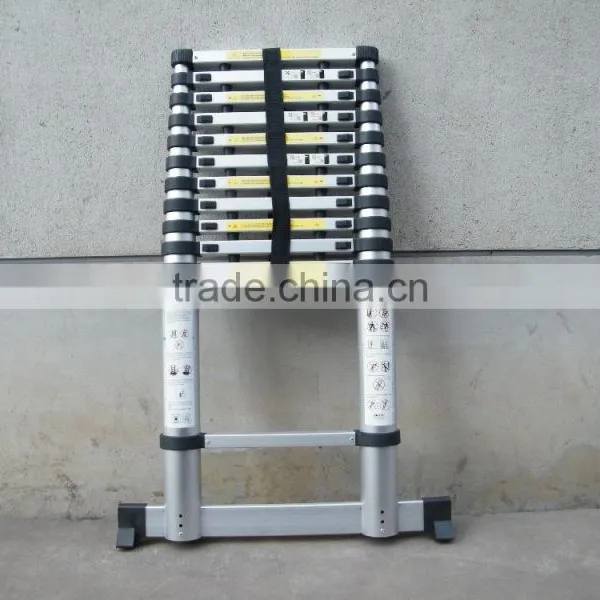 Longest Telescopic Ladder photo-4