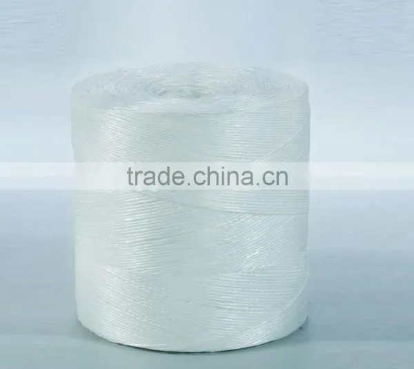 Tomato Twine for Florida Weave Cultivation photo-4