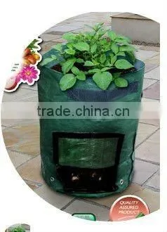 4 Compartment Planter photo-3