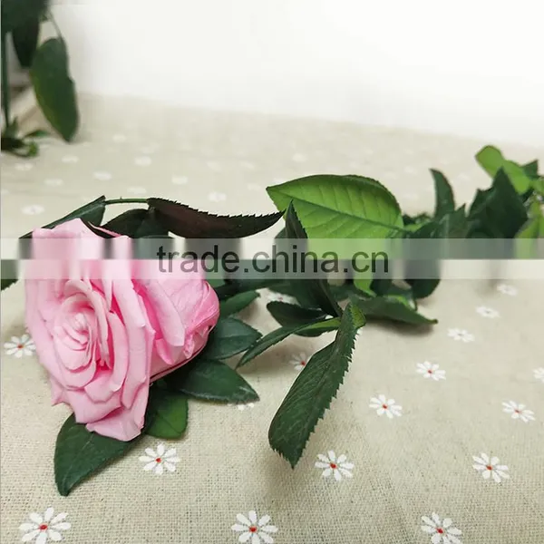 Wholesale Factory Price Real Fresh Flower Natural Preserved Roses With Long Stem photo-6