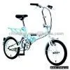 Folding Bike