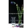 Clear Glass Vase