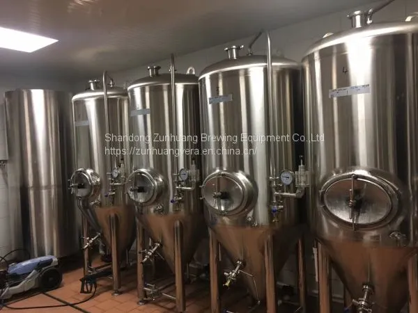 50L/100L/200Lsmall Fermentation Equipment System Tanks for Brewery photo-2
