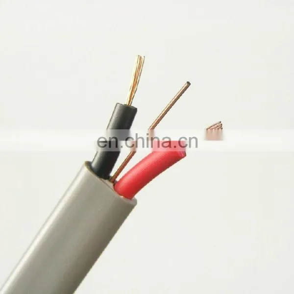 Electric Wire photo-3