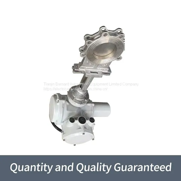 Rotoque Multi Turn Gate Valves Are Split High Temperature Resistant Actuators photo-4