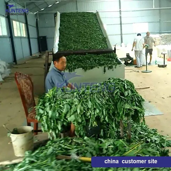 Continuous Hemp Leaves Flower Dryer Drying Machine Equipment EPC photo-4