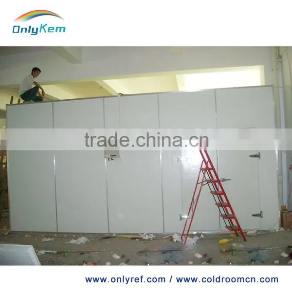 Cold Room Panel 100mm, Panel for Cold Room photo-6
