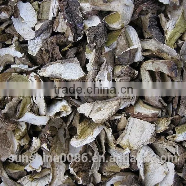 Wild Dried White Porcini Mushroom photo-5