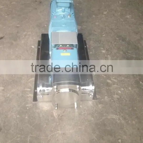 Stainless Steel Rotor Pump/ Chocolate Pump/ High Viscosity Liquid Pump photo-3