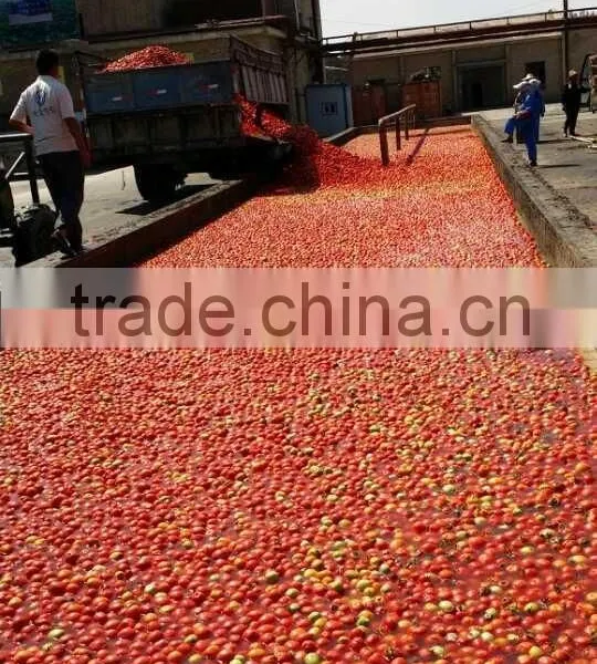 Brix 36-38 Tomato Paste photo-6