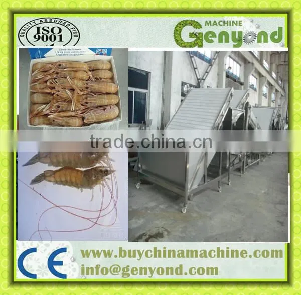 langoustine screening machine
