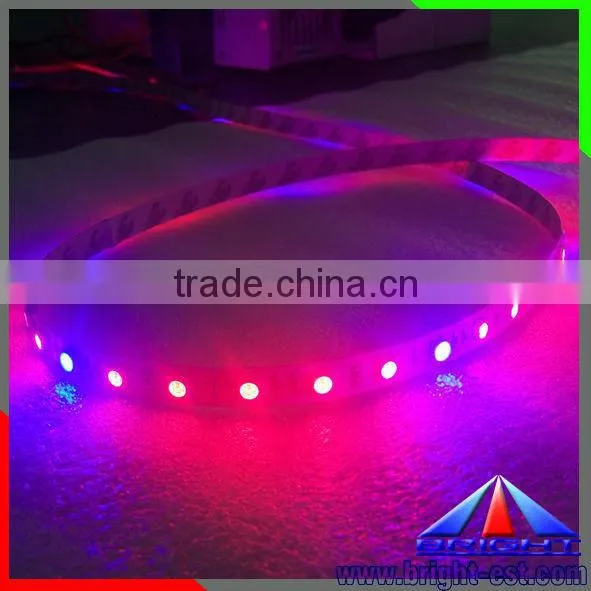Red and Blue Color Grow Light Flexible Led SMD 5050 photo-5