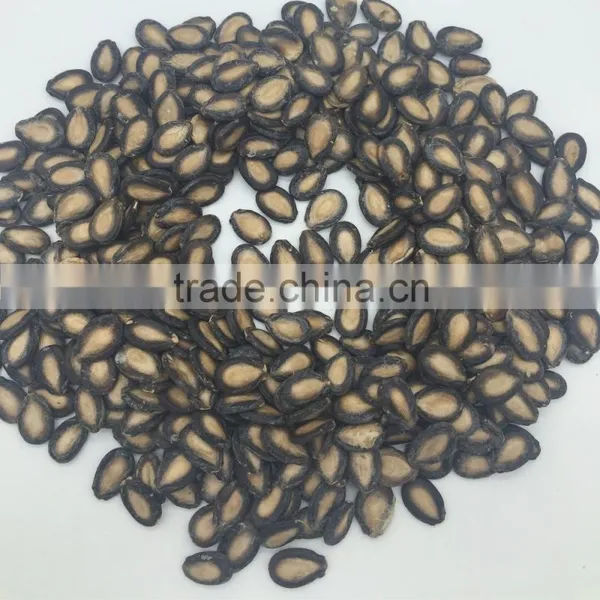 Wholesale Watermelon Prices photo-3