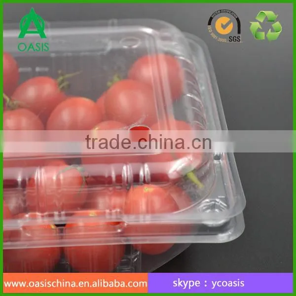 Plastic Fruit Packaging Transparent Box photo-3
