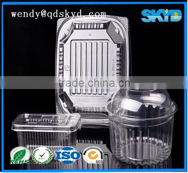 Clamshell Plastic PET Fruit Container photo-3