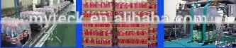 Good Quality Shrink Wrapping Machine for Bottles and Cans for Sale photo-3