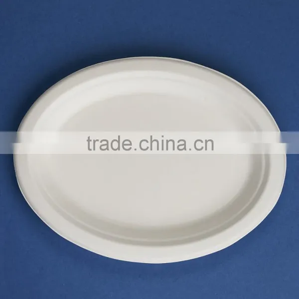 PL-10-E Oval 10 Inches Disposable Sugarcane Plates photo-3