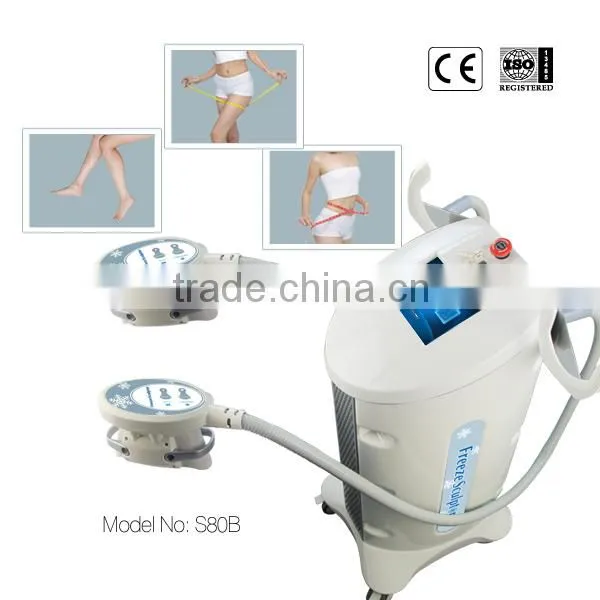 2 Cryo Handle Fat Freeze Cryo LED Vacuum Slimming Device for Salon photo-3