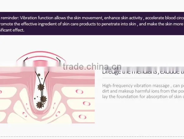 2016 Portable Electric Beauty Equipment Face Massager Vibrator photo-6