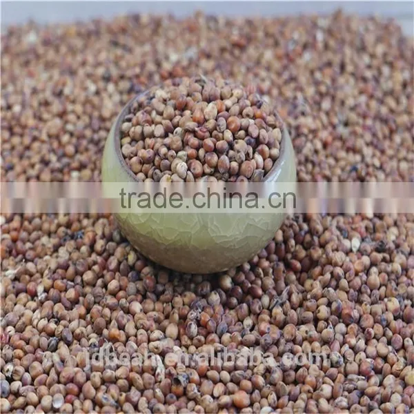 Natural Glutinous Red Sorghum Price photo-2