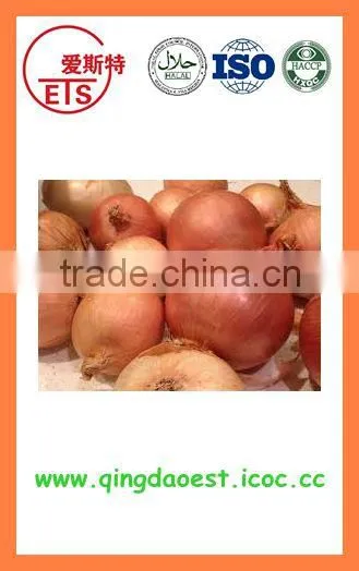 Export China Fresh New Crop Red and Yellow Onion photo-3
