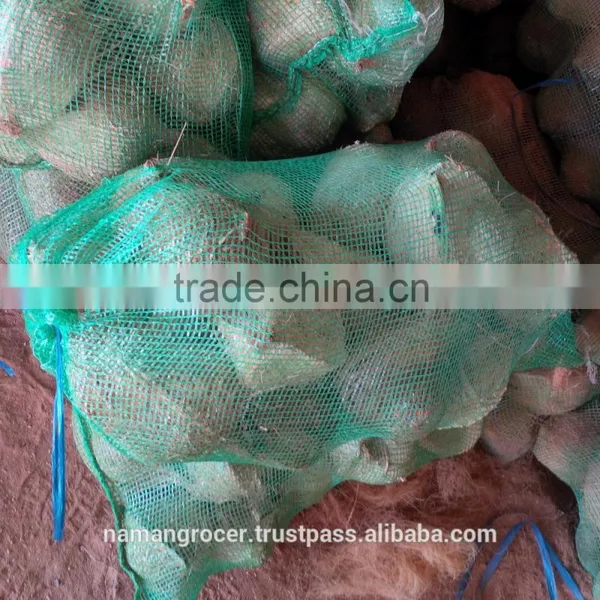 Semihusked Mature Coconut photo-3