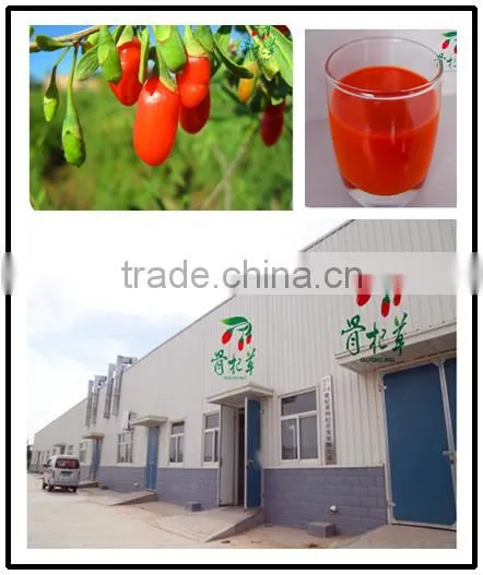 Goji Juice Concentrate for Health,goji Berries,wolfberry Seeds Juice photo-5