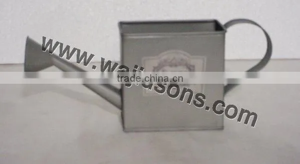 Watering Can Hot Design, Watering Can High Quality