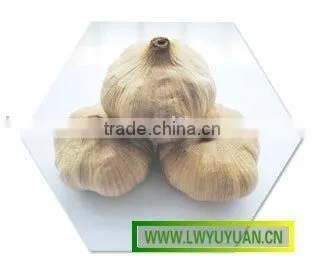 Black Garlic