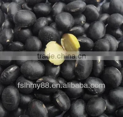 Black bean/black soya bean/black soybean with yellow kernel