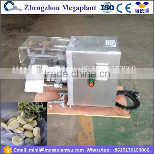 Electric Apple Slicer Electric Machine photo-5